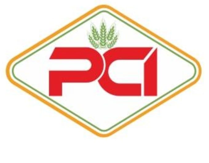 PCI Logo